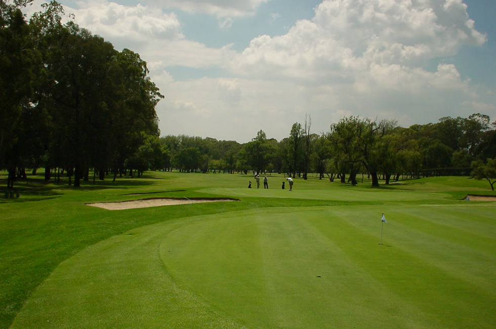 Golfing is available only minutes from Flathead Lake Inn Flathead Lake Inn is only 2 minutes from Polson Bay Golf Course.